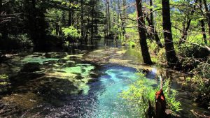 古川初穂ピアノトリオ